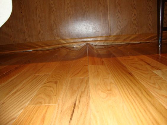 laminate floor buckling: 